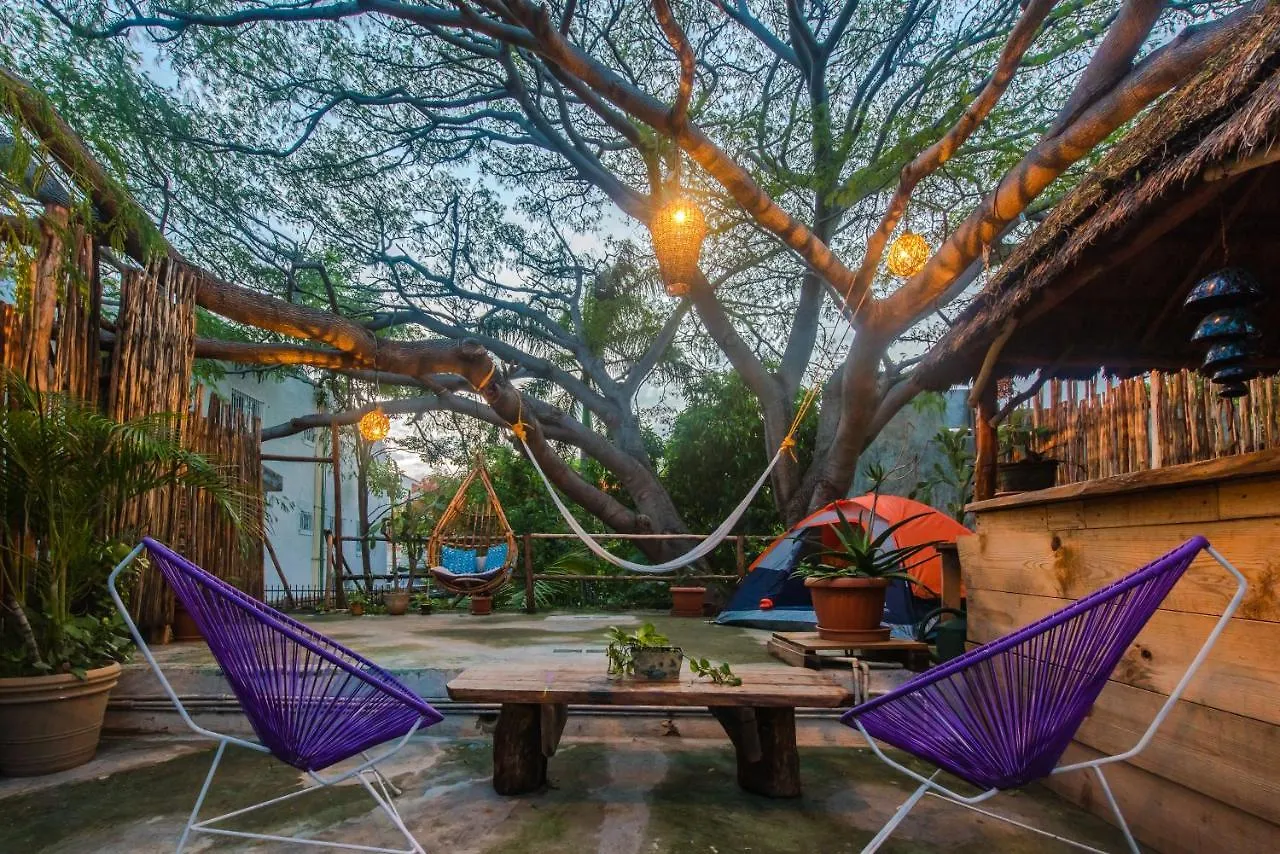 Casa Arbol Mx-La Experiencia Bajo Un Arbol Maya contacts
