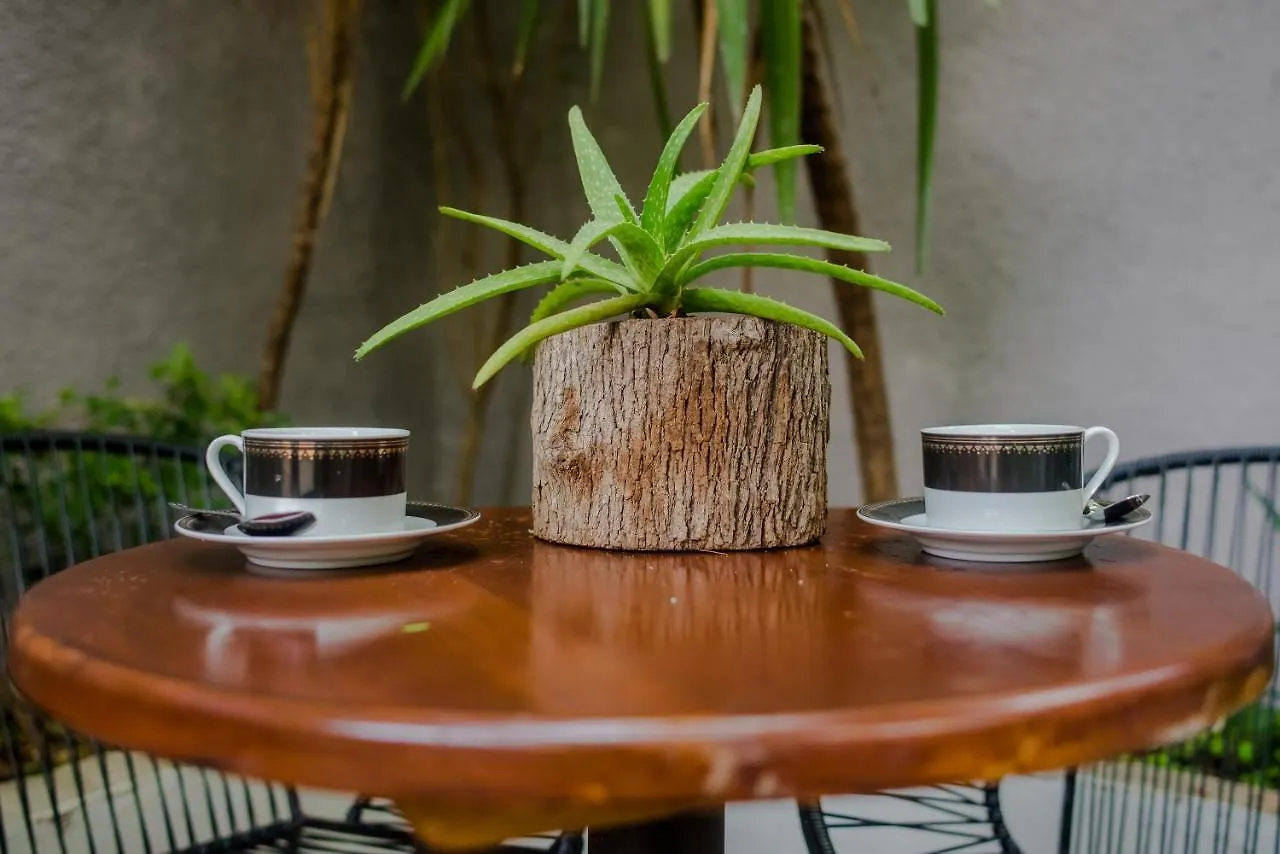 Casa Arbol Mx-La Experiencia Bajo Un Arbol Maya Villa Cancun Holiday home