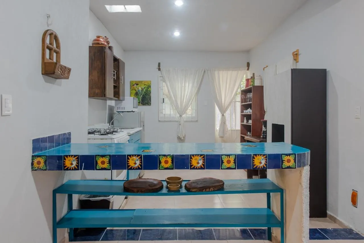 Casa Arbol Mx-La Experiencia Bajo Un Arbol Maya Villa Cancun